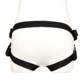 Strap on Harness rear view