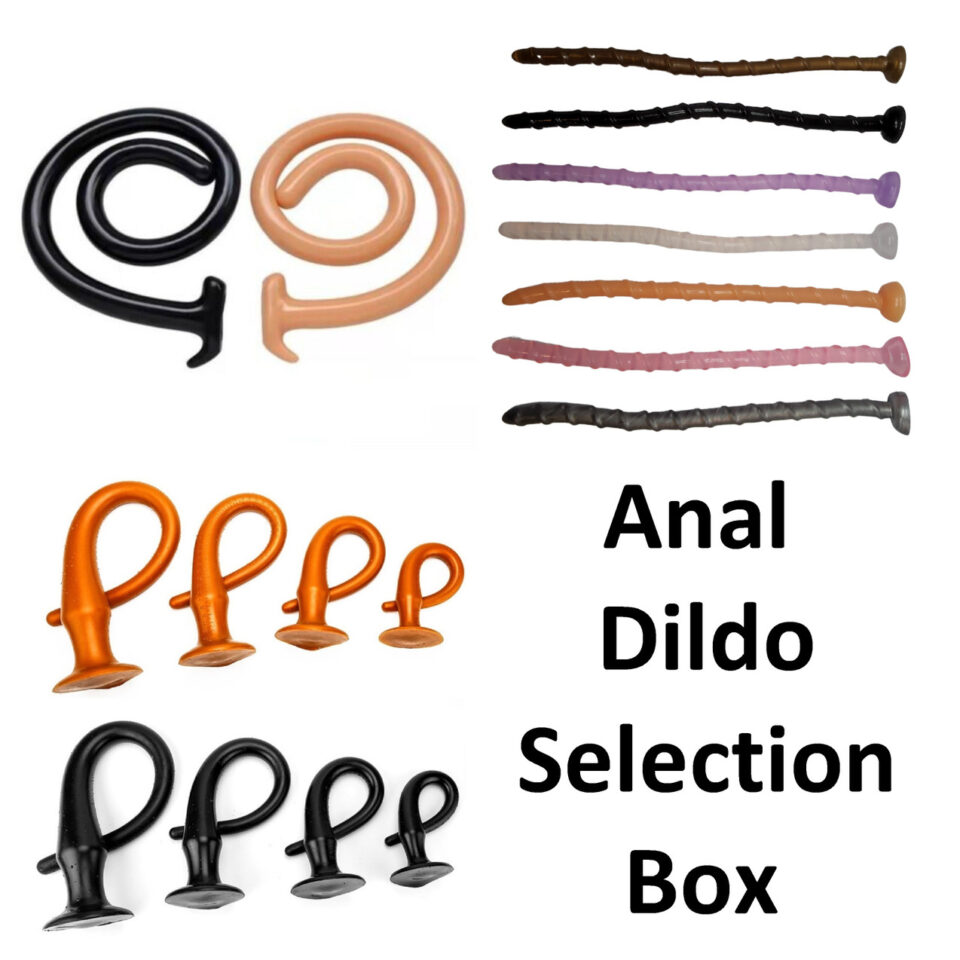 Anal Dildo Selection Box main pic