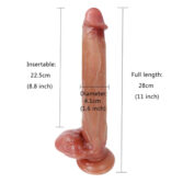 Luna 11 Inch Dildo Realistic Double Skin Dildo Dimensions