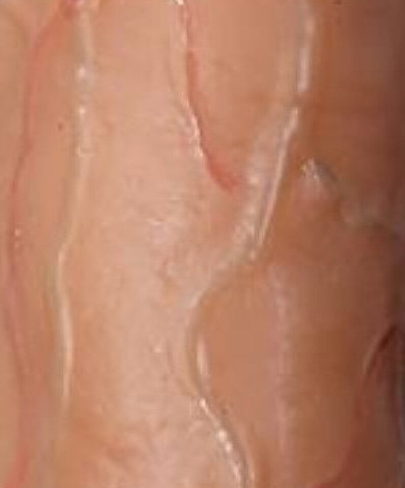 Luna 11 Inch Dildo Realistic Double Skin Dildo Veins Detail